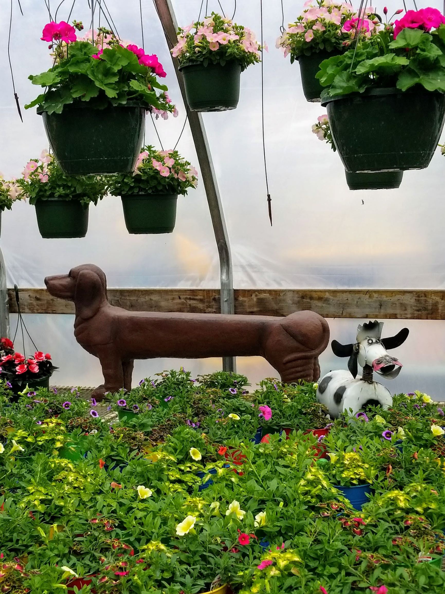 Explore Acres of Flowers, Plants, and Garden Art Just Around The Bend Travel